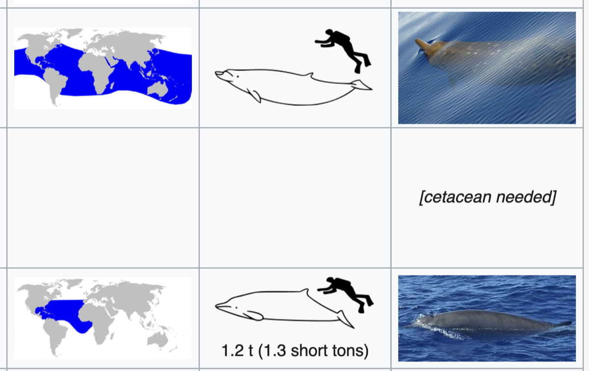 cetacean needed